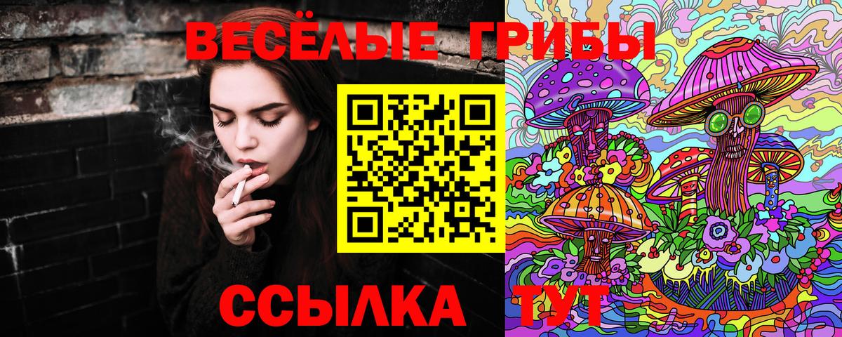 где можно купить   Псилоцибиновые грибы Magic Shrooms  Вход с VPN  Кохма 